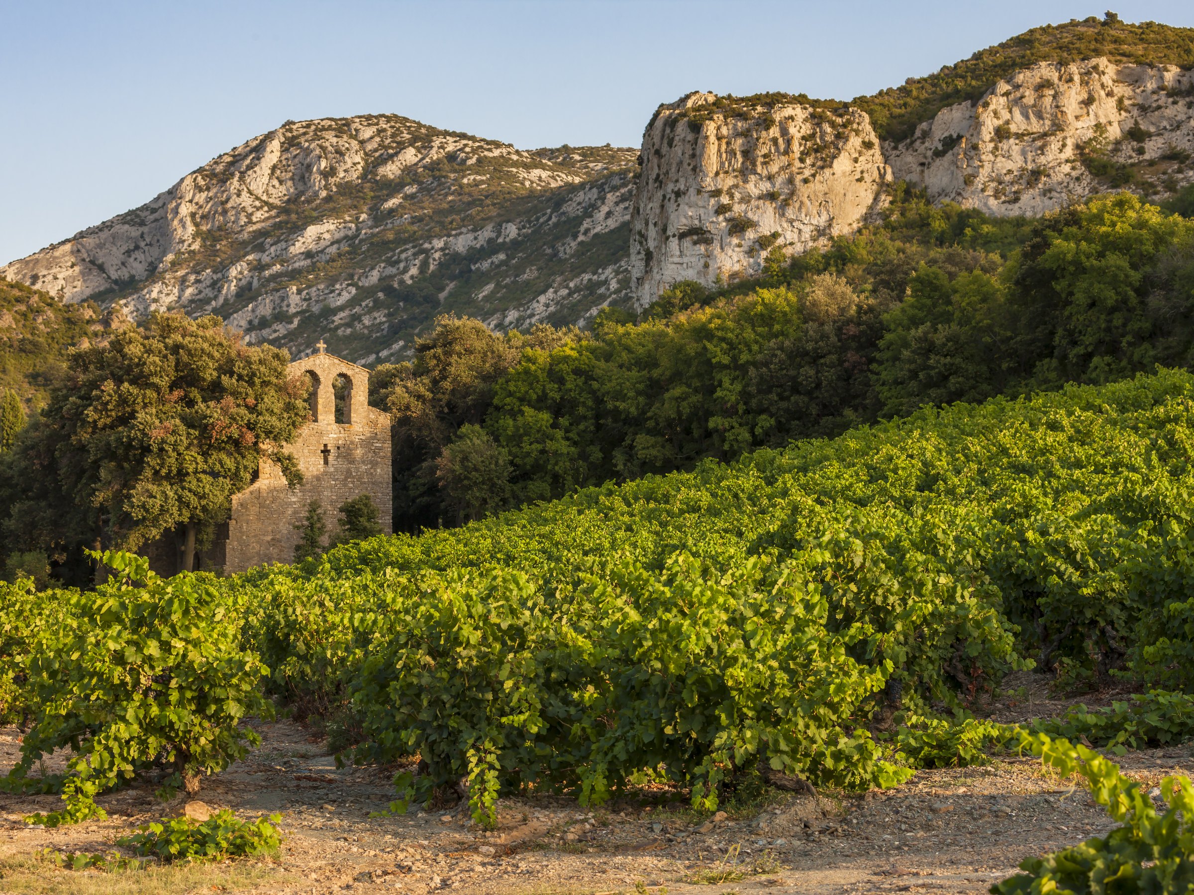 Des vignes qui montent vers une barre calcaire, une bâtisse de pierre à l’ombre des arbres