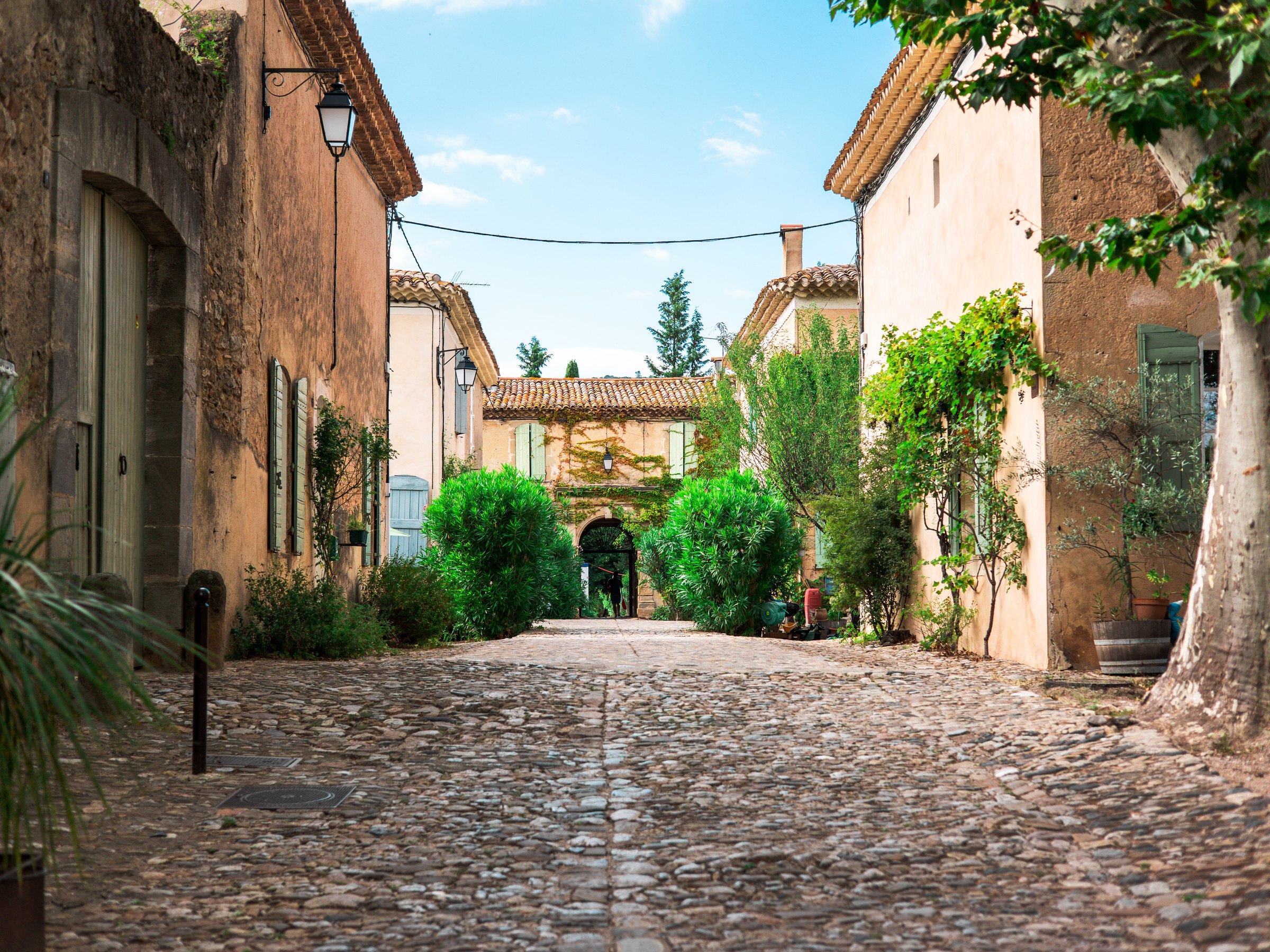 L’allée pavée de la manufacture de Villeneuvette, entre les platanes