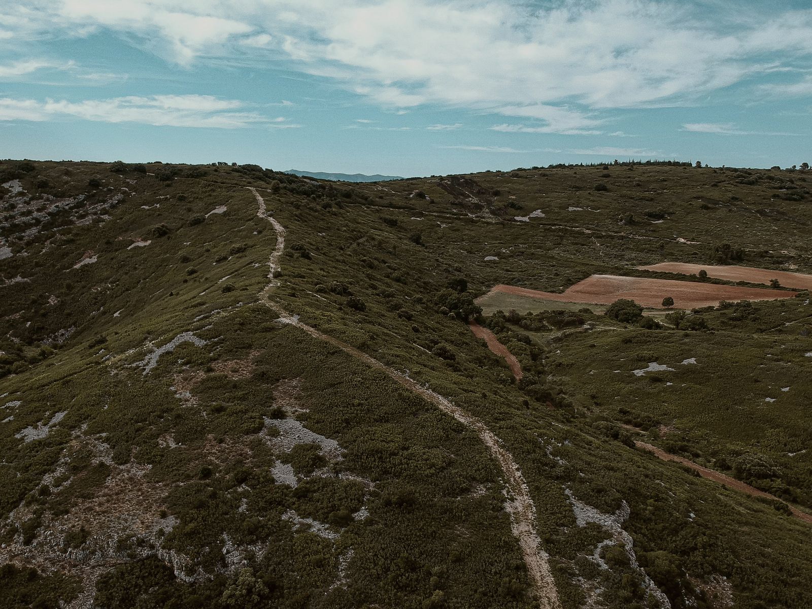 Un sentier de garrigue sur les croupes calcaires d’Aumelas, dans l’Hérault