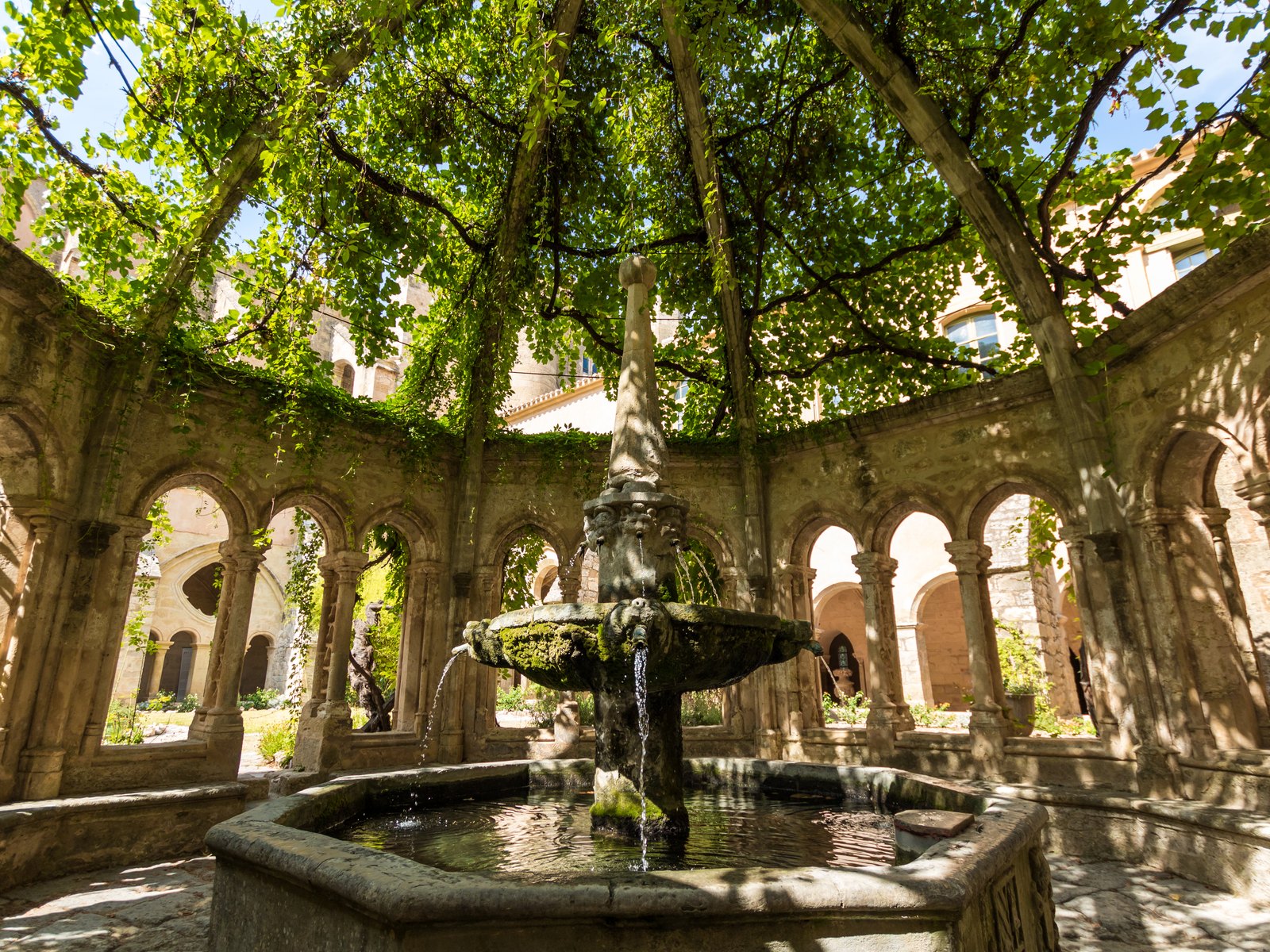 La fontaine du cloître de l’abbaye de Valmagne, sous son dôme de vigne, au centre des arcades