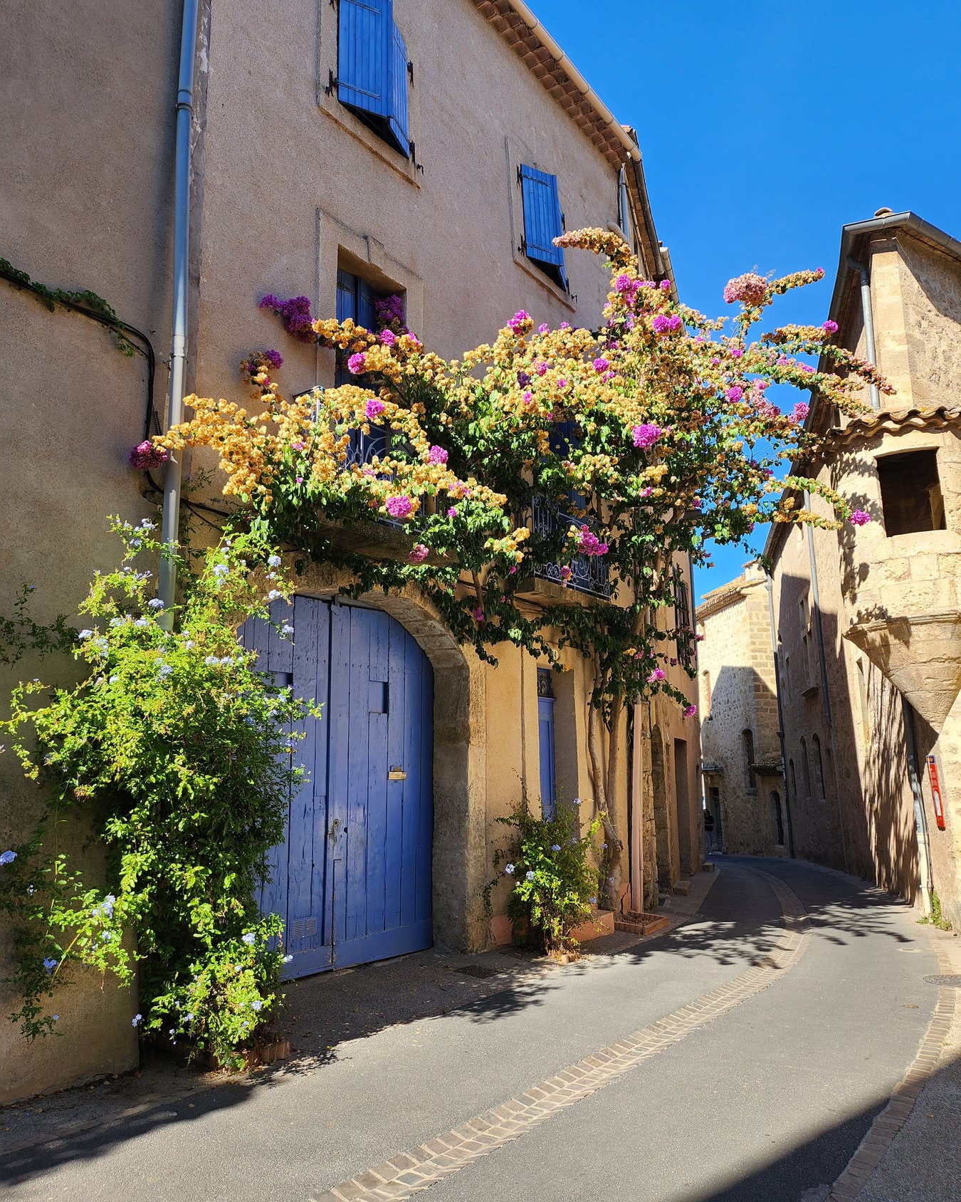 Une ruelle de Pézenas, une bougainvillée en fleur sur une façade aux volets bleus