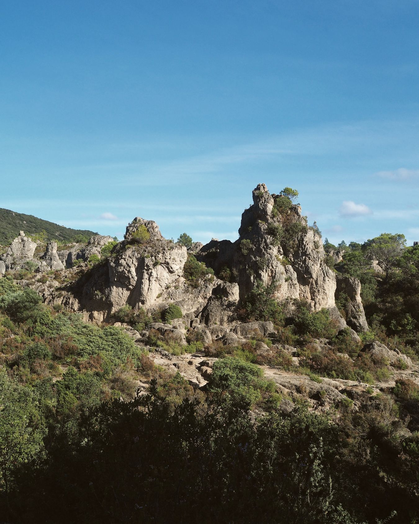 Les colonnes de dolomie du cirque de Mourèze dressées au-dessus de la garrigue